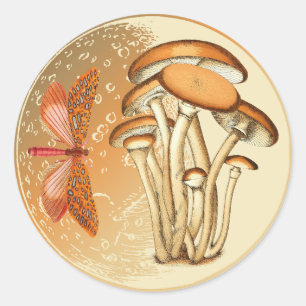 Sticker Rond Lune de champignons papillon orange