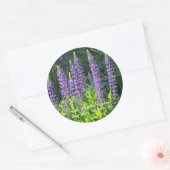 Sticker Rond Lupine pourpre du Minnesota (Enveloppe)