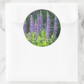 Sticker Rond Lupine pourpre du Minnesota (Sac)