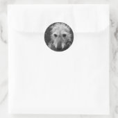 Sticker Rond Lurcher (Sac)