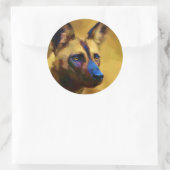 Sticker Rond Lycaon Pictus (Sac)