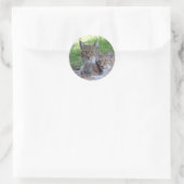 Sticker Rond lynx (Sac)