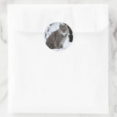Sticker Rond Lynx canadienne dans la neige (Sac)