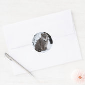 Sticker Rond Lynx canadienne dans la neige (Enveloppe)