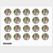 Sticker Rond Lynx du Canada - Licking his Chops (Feuille)