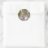 Sticker Rond Lynx du Canada - Licking his Chops (Sac)