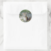 Sticker Rond Lynx eurasien, jeune chaton (Sac)