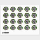 Sticker Rond Lynx Kitten (Feuille)