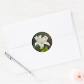 Sticker Rond Lys blanc crépusculaire (Enveloppe)