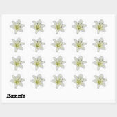 Sticker Rond Lys blancs (Feuille)