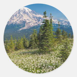 Sticker Rond Lys d'avalanche et Mont Rainier