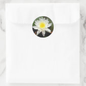 Sticker Rond Lys d'eau (Sac)