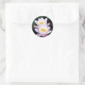 Sticker rond Lys d'eau (Sac)