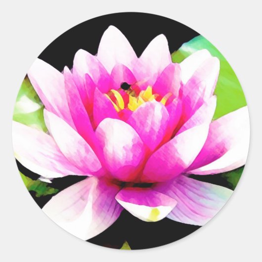 Sticker Rond Lys d'eau rose (Devant)