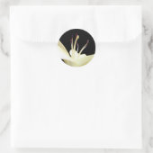 Sticker Rond Lys Lily blanche Fleurs Photo (Sac)