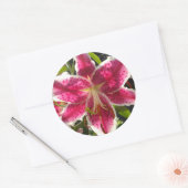 Sticker Rond Lys roses fleurs tropicales roses rose (Enveloppe)