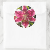 Sticker Rond Lys roses fleurs tropicales roses rose (Sac)