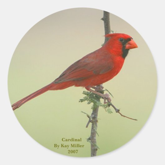 Sticker Rond M. Cardinal (Devant)