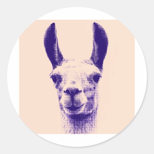 Sticker Rond M. Llama (Devant)