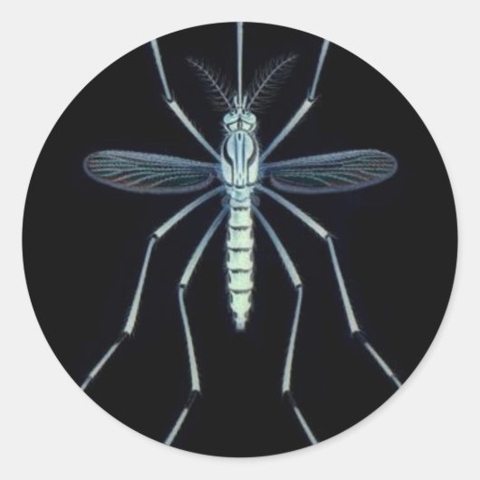 STICKER ROND M POWER, (Devant)