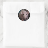 Sticker Rond M. Wiggles (Sac)