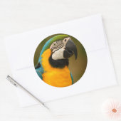 Sticker Rond macaw (Enveloppe)
