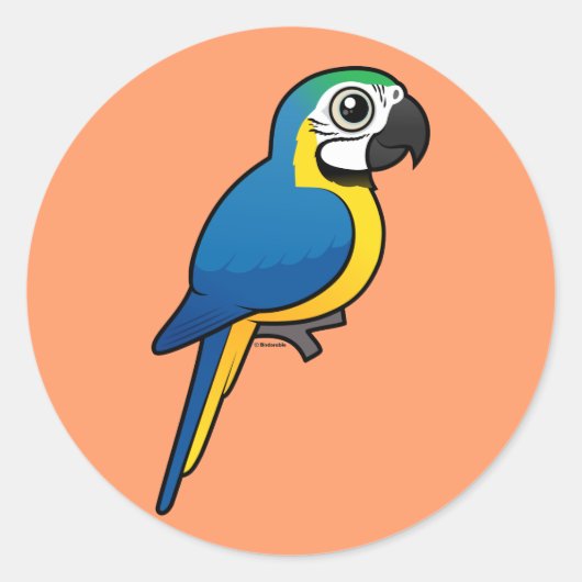 Sticker Rond Macaw bleu et jaune (Devant)