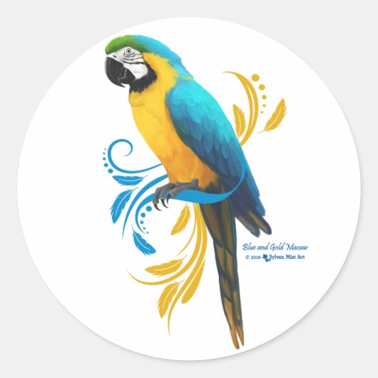Sticker rond Macaw bleu et or (Devant)