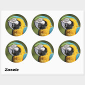 Sticker Rond Macaw bleu et or (Feuille)