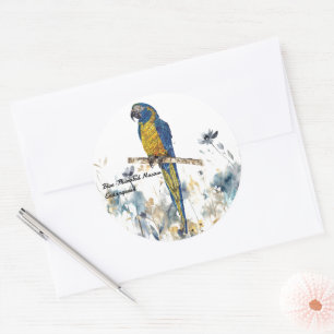 Sticker Rond Macaw Peint à la main en voie de disparition