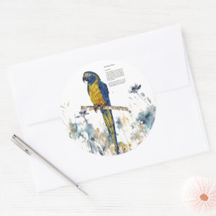 Sticker Rond Macaw Peint à la main en voie de disparition