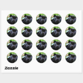 Sticker Rond Macro Black Panther (Feuille)