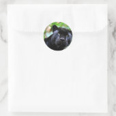Sticker Rond Macro Black Panther (Sac)