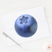 Sticker Rond Macro Blueberry (Enveloppe)