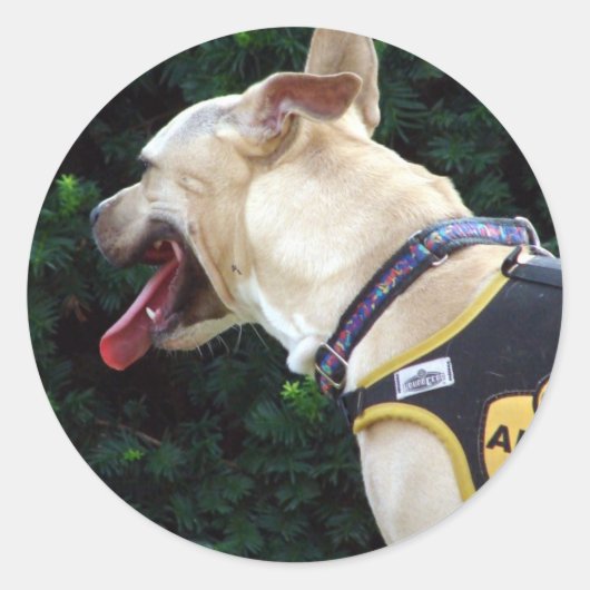 Sticker Rond M'adopter (Devant)