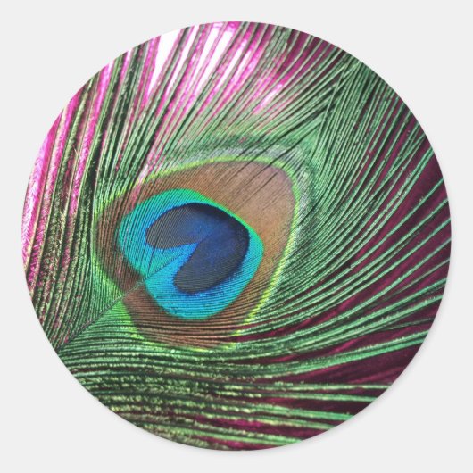Sticker Rond Magenta Peacock (Devant)