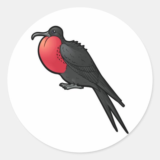 Sticker Rond Magnifique Frigatebird (Devant)