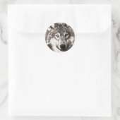 Sticker Rond Magnifique loup visage photo accessoires d'impress (Sac)