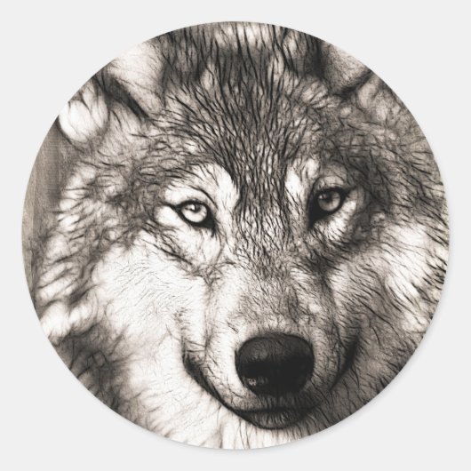 Sticker Rond Magnifique loup visage photo accessoires d'impress (Devant)