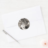 Sticker Rond Magnifique loup visage photo accessoires d'impress (Enveloppe)