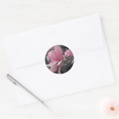 Sticker Rond Magnolia (Enveloppe)