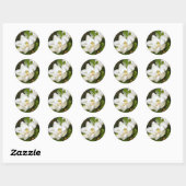 Sticker Rond Magnolia White (Feuille)