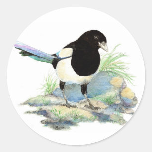 Sticker Rond Magpie - Aquarelle Oiseau