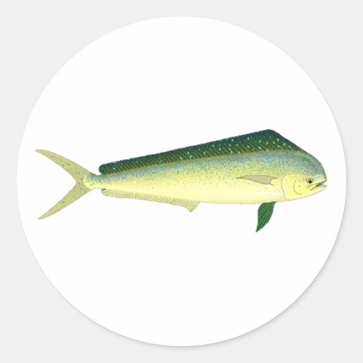 Sticker Rond Mahi Mahi - Dolphin Fish Art (Devant)