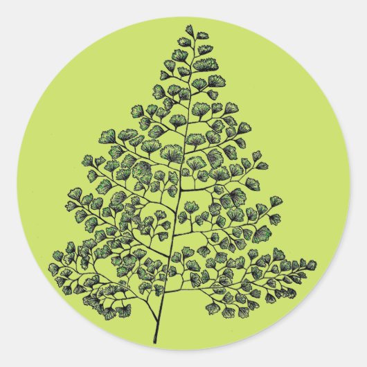 Sticker Rond Maidenhair Fern (Devant)