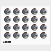 Sticker Rond Majestic African Grey Parrot (Feuille)