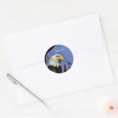 Sticker Rond Majestic Bald Eagle (Enveloppe)