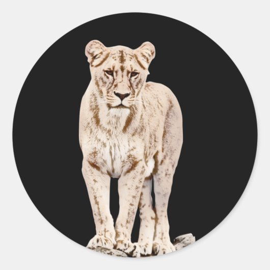Sticker Rond Majestic Lioness (Devant)
