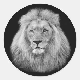 Sticker Rond Majestic mâle lion noir et blanc photo