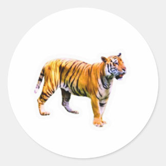 Sticker Rond Majestic Sumatran Tiger - Endangered Wildlife Cons